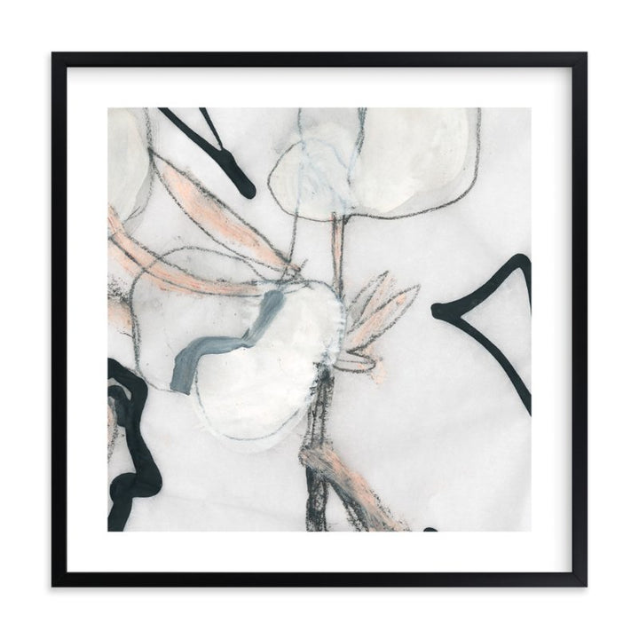 Cotton Bloom