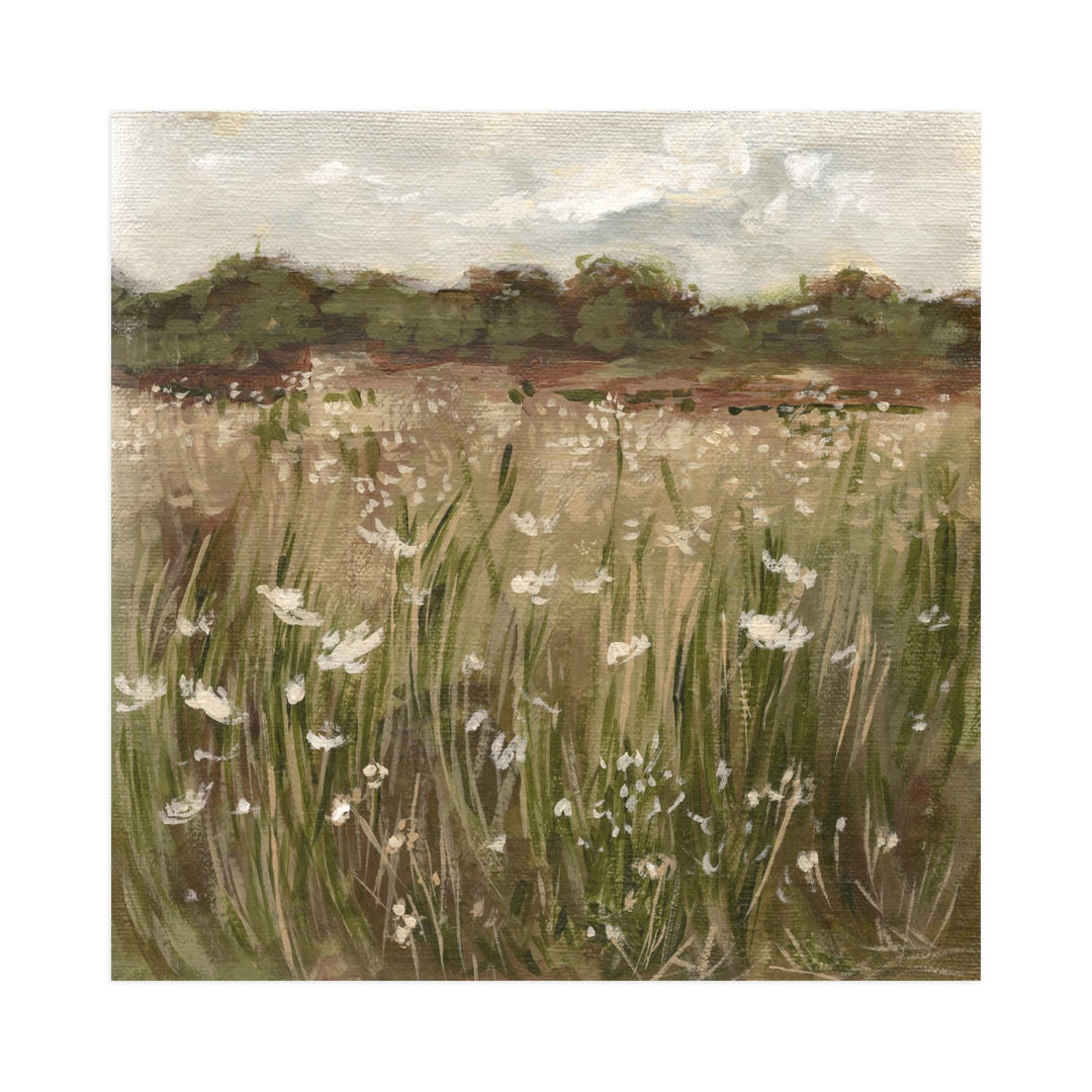 Lace Fields
