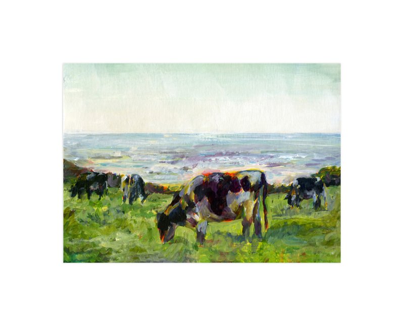 Marin Cows