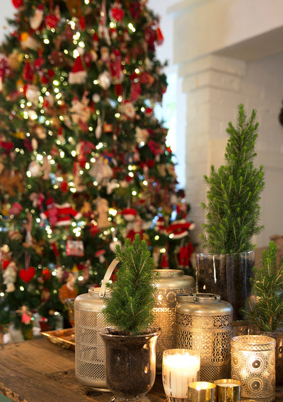 Christmas Decorating ideas in under 15 minutes