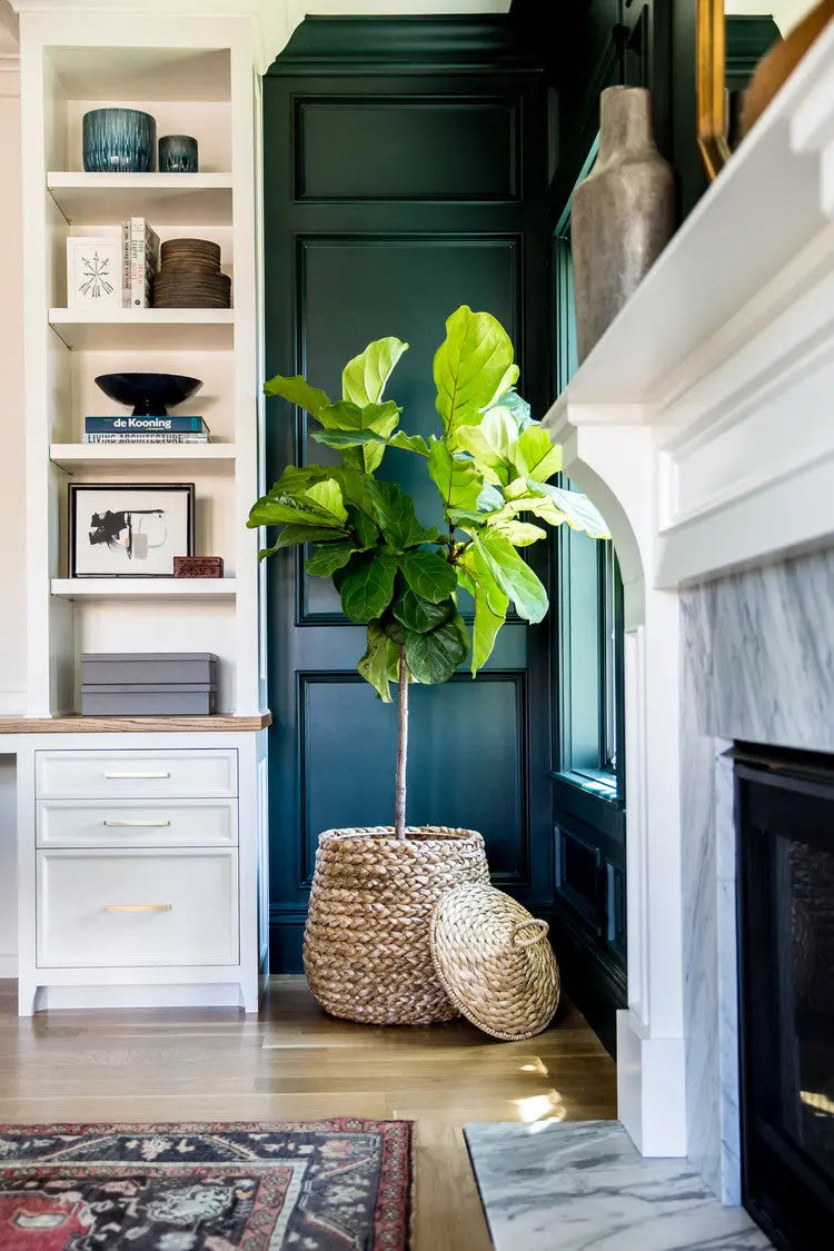 6 Ways with Indoor Plants Rustic Charm Interiors