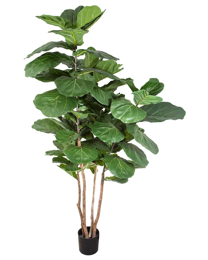 Faux Plants