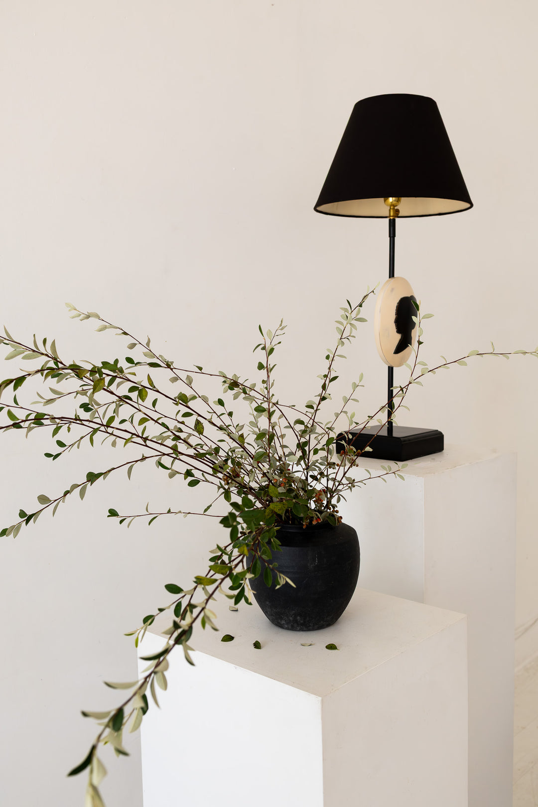 Colette Lamp