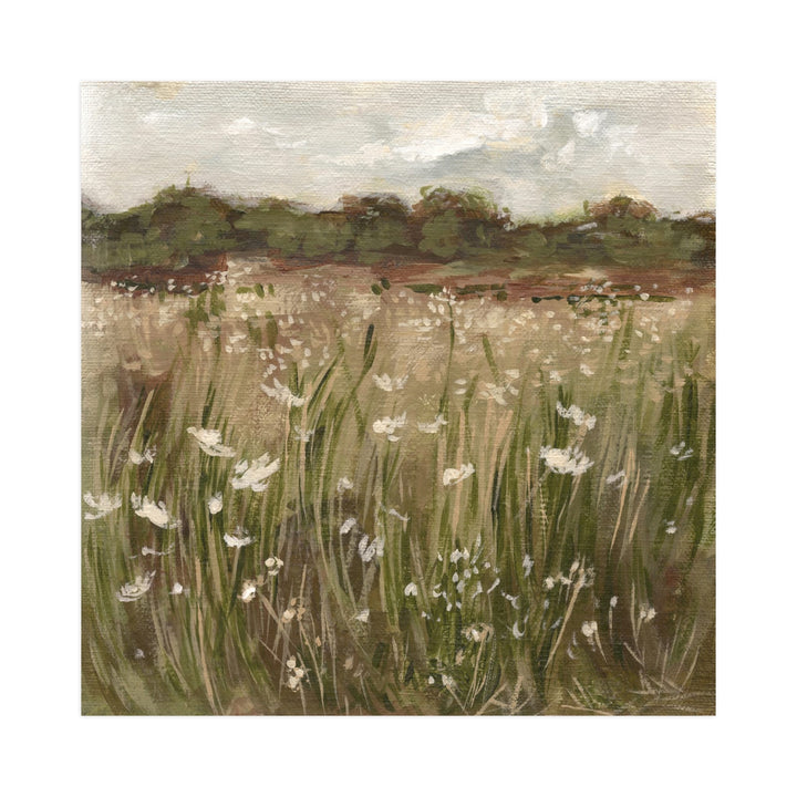 Lace Fields