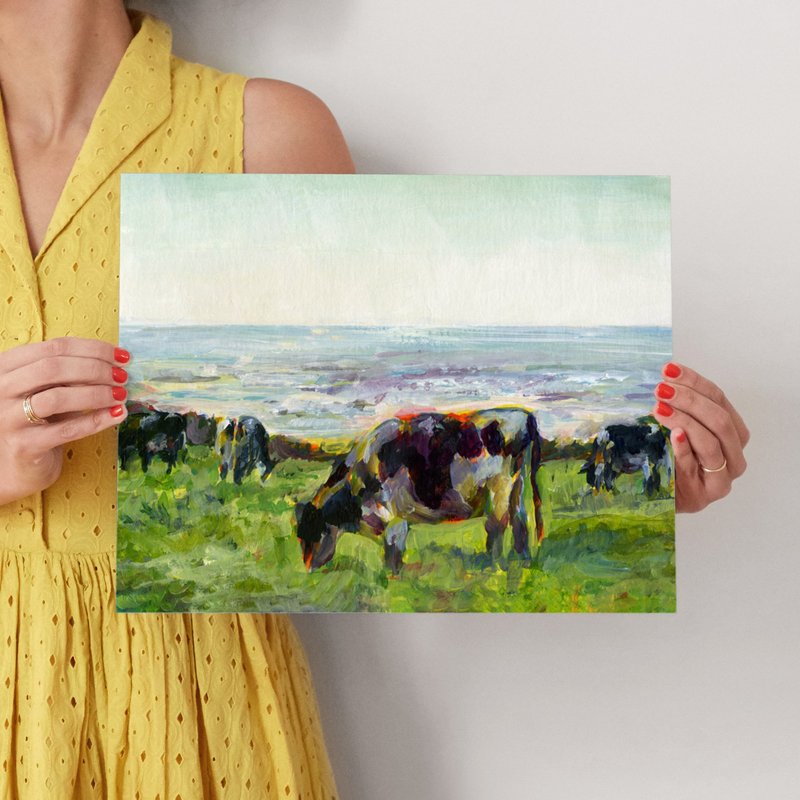 Marin Cows